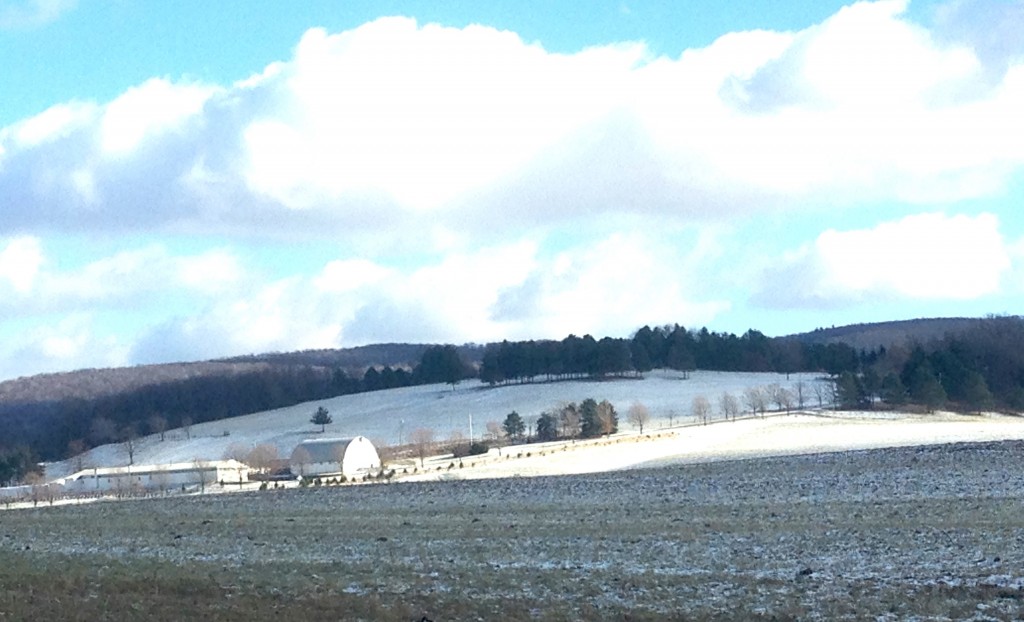 Winter View of Friendship Farms