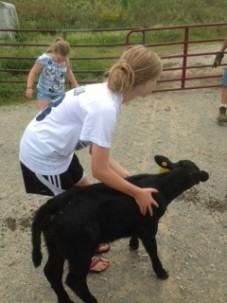 Kids visiting an orphaned calf